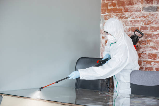 Best Asbestos and Lead Testing During Mold Inspection  in Tri Lakes, IN